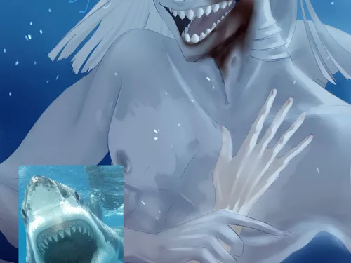 Коммишки для заказчиков 