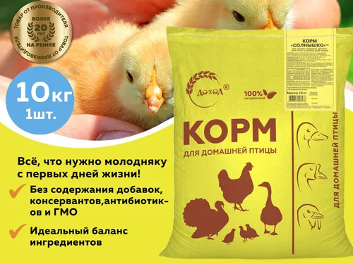 Инфографика 1