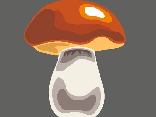 гриб / mushroom