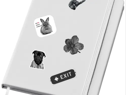 Sticker pack