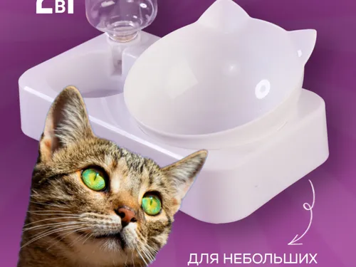 Инфографика 