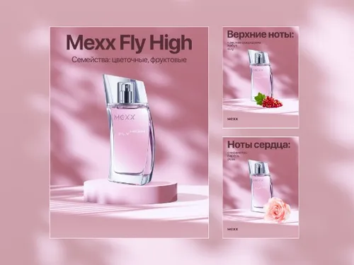 MEXX Fly High