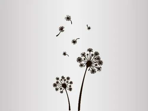 vector graphics