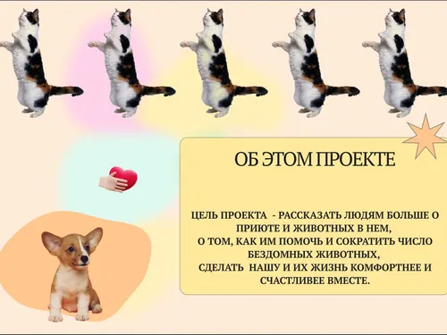 Приют для бездомных животных Пиф