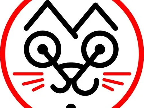 Велосообщество КОТОФОТ – копирайтинг