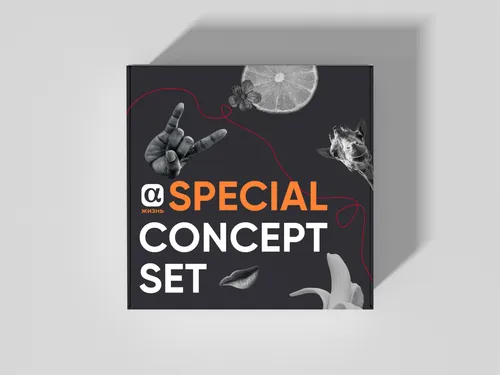 Box / sticker pack design
