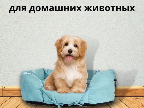 ТОВАРЫ ДЛЯ ПИТОМЦЕВ