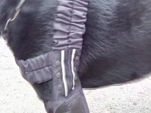 Elbow Pads for a Dog . А s well as other veterinary products.