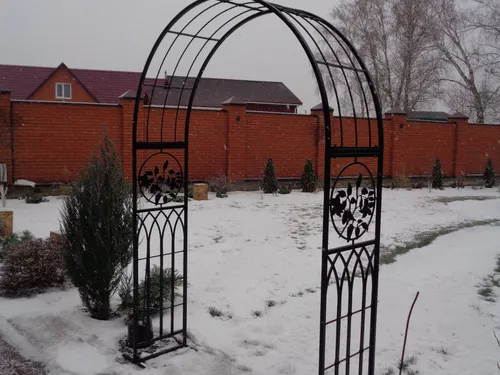 Арка для калиматиса.