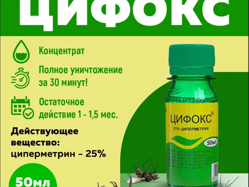 Инфографика 2