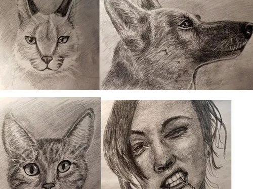 Рисунки 