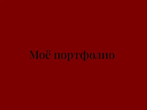 Моё портфолио 