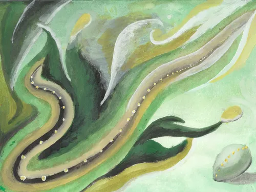 рисунки 2