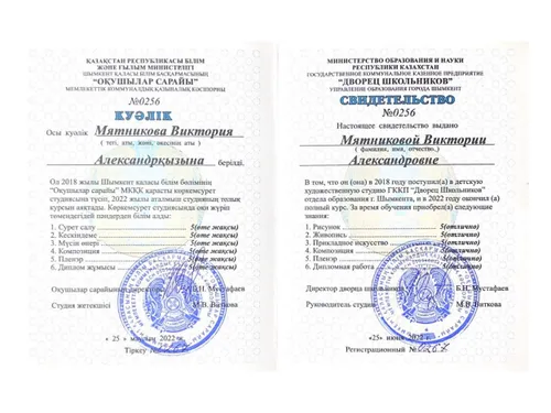 индивидуальные достижения