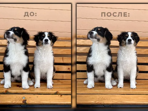Ретушь и обработка.
