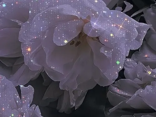 Обработанные фото