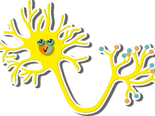 Нейрон \ neuron