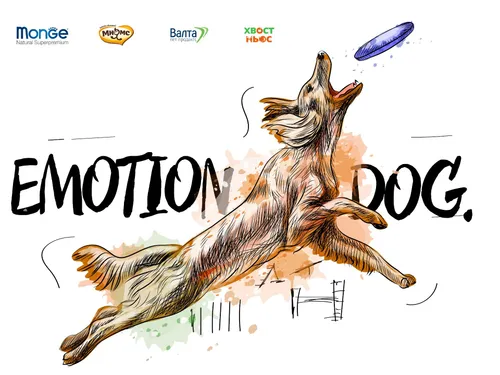 Dog Agility