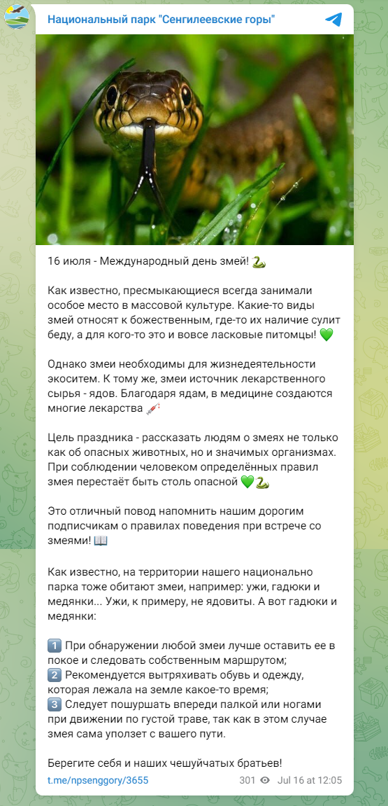 Пост для социальных сетей ВК, ТГ, ОК — фото 3