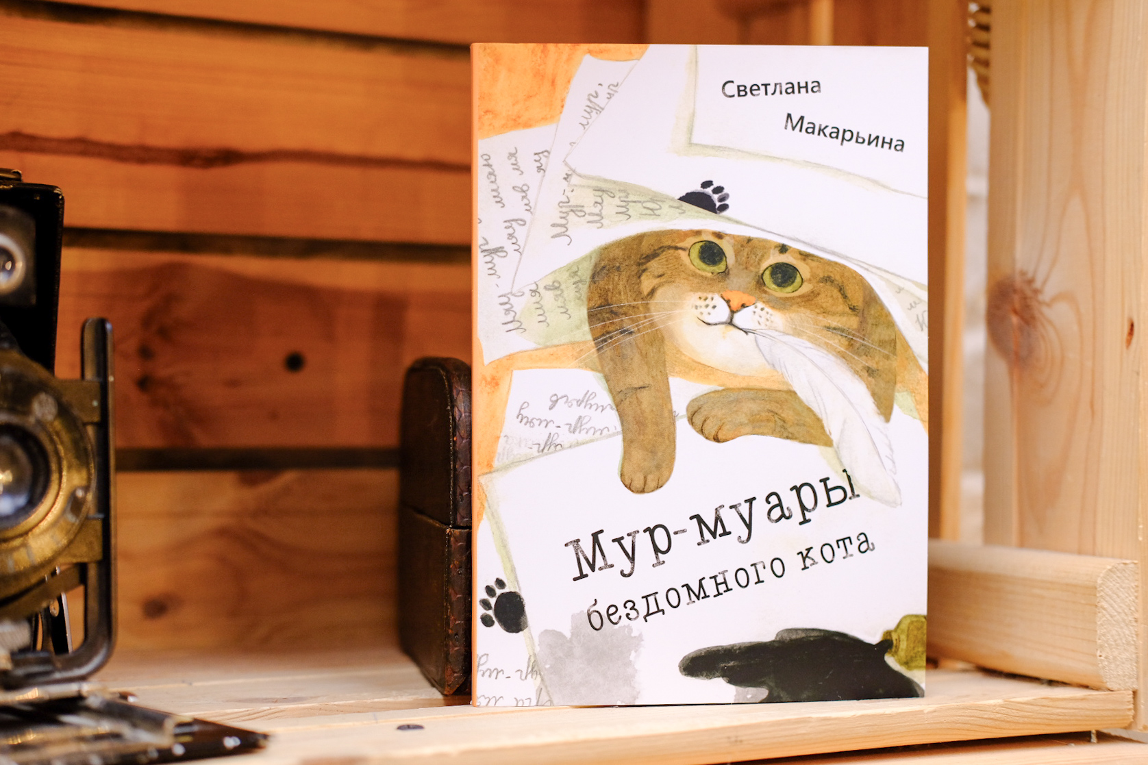 Мур-муары бездомного кота / детская книга — фото 1