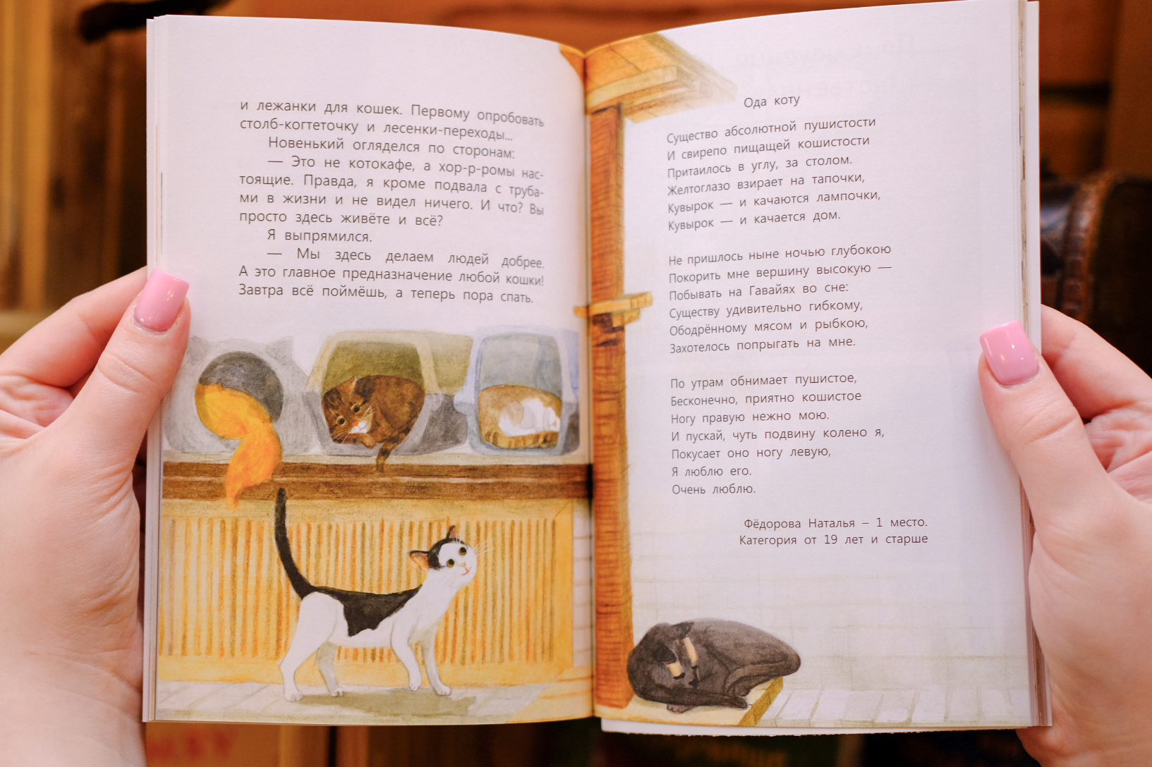 Мур-муары бездомного кота / детская книга — фото 2