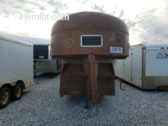 null brown   803103WGN16D photo #3