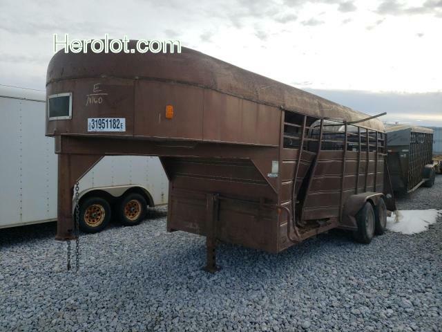 null brown   803103WGN16D photo #4