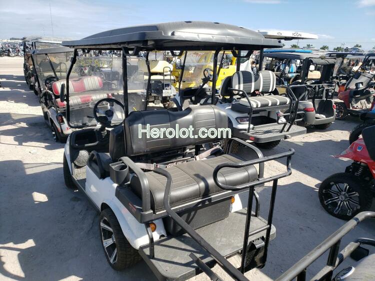 OTHR GOLF CART 2022 white    64087282 202213046 202213046 photo #4