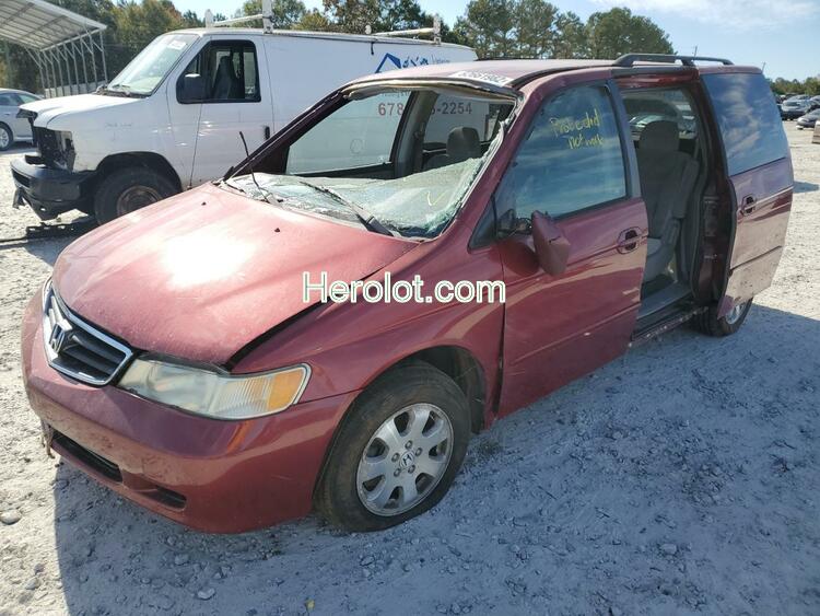 HONDA ODYSSEY EX 2002 red  gas  62661982 2HKRL186X2H560207 2HKRL186X2H560207 photo #3