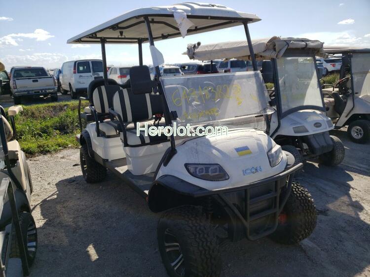 ASPT GOLF CART 2021 white    64918382 FLA116889 FLA116889 photo #1