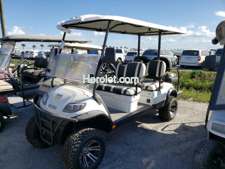 ASPT GOLF CART 2021 white    64918382 FLA116889 FLA116889 photo #3