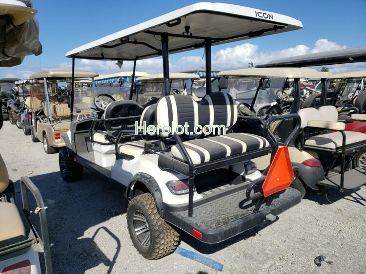 ASPT GOLF CART 2021 white    64918382 FLA116889 FLA116889 photo #4