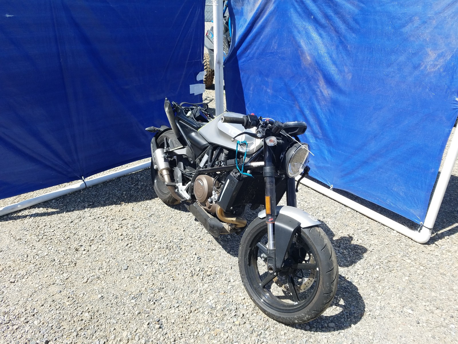 HUSQVARNA VITPILEN 7 2019 black  gas  39105431 VBKUPV408KM737557 VBKUPV408KM737557 photo #1