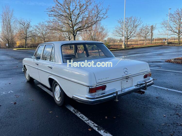 MERCEDES-BENZ 250SE 1967 white    38469673 10801412032565 10801412032565 photo #4