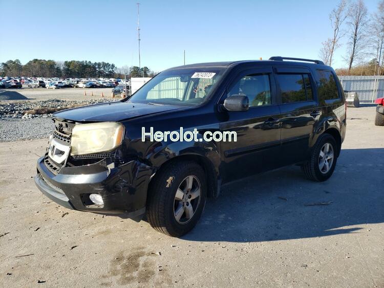 HONDA PILOT EXL 2011 black  gas  36242073 5FNYF4H56BB010853 5FNYF4H56BB010853 photo #1