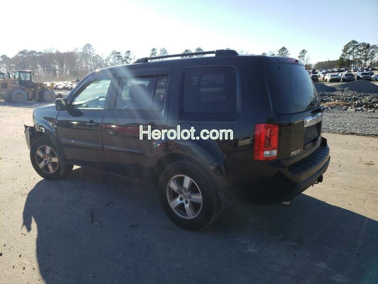 HONDA PILOT EXL 2011 black  gas  36242073 5FNYF4H56BB010853 5FNYF4H56BB010853 photo #3