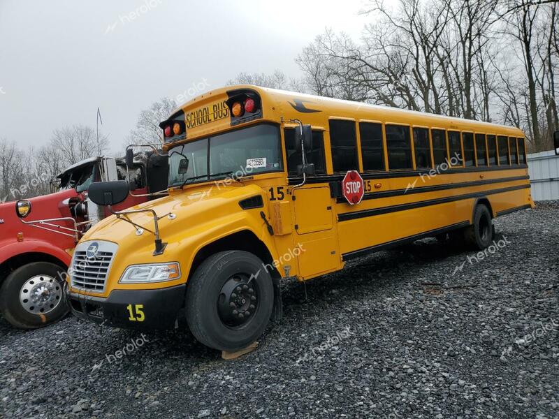 BLUE BIRD SCHOOL BUS 2021 yellow  diesel  42225593 1BAKGCSA7MF376056 1BAKGCSA7MF376056 photo #1