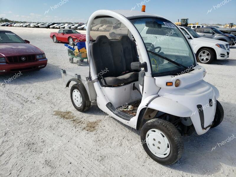 GEM GOLF CART 2010 white coupe electric  42760133 5ASGTGA46AF051383 5ASGTGA46AF051383 photo #1