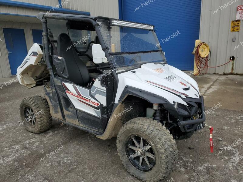 YAMAHA YXE850 2020 white  gas 5Y4AN27Y3LA105683 photo #1