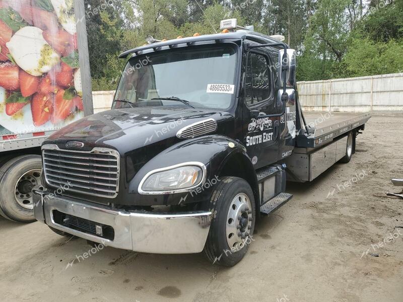 Freightliner 2019