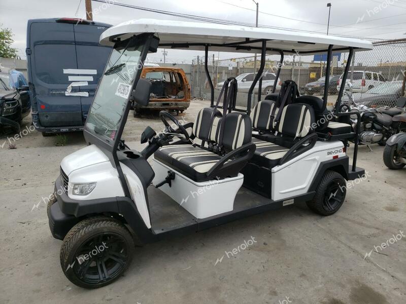 GOLF GOLF CART 2021 white    49729673 1G9BA4218MC411448 1G9BA4218MC411448 photo #1