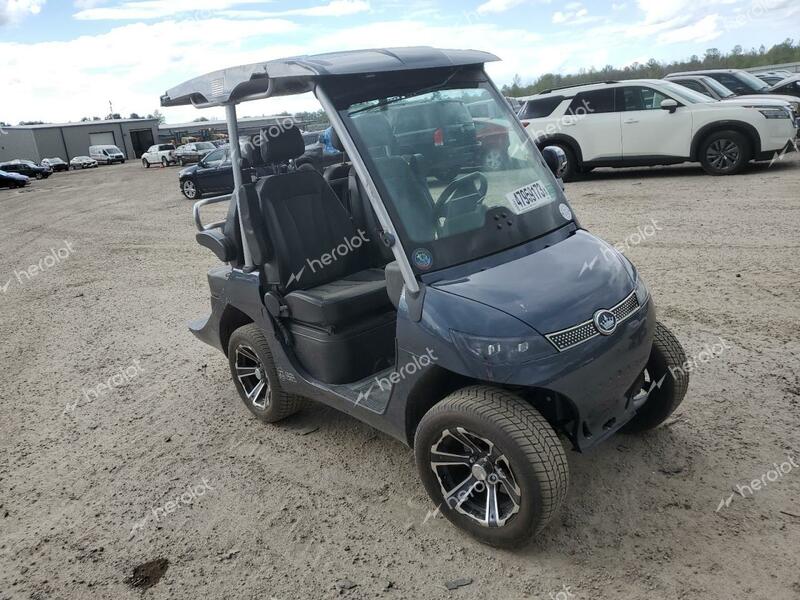 HDK GOLF CART 2022 gray    47959173 7MZL20820NC004594 7MZL20820NC004594 photo #1