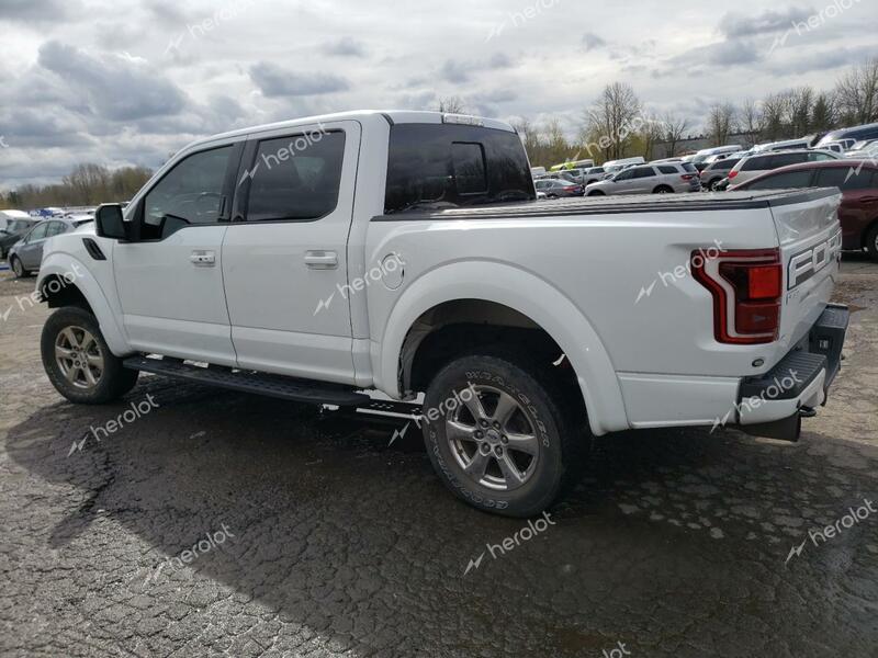 FORD F150 RAPTO 2019 white  gas  41911073 1FTFW1RG4KFB82297 1FTFW1RG4KFB82297 photo #3