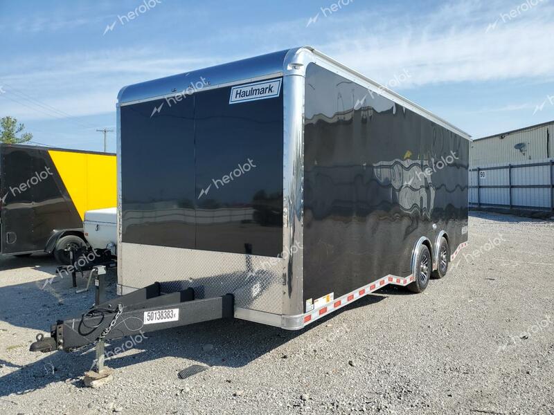 TRAIL KING ENCLOSED 2023 black    50138383 7K51E2423PH901653 7K51E2423PH901653 photo #3