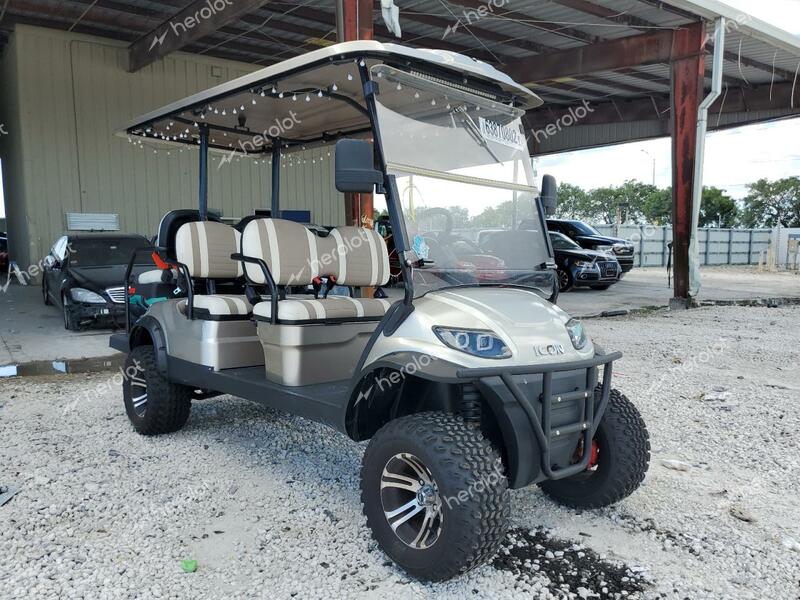 ICON GOLF CART 2022 white   7R46L4CA2NT002110 photo #1