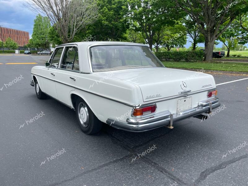 MERCEDES-BENZ 250SE 1967 white   10801412032565 photo #4