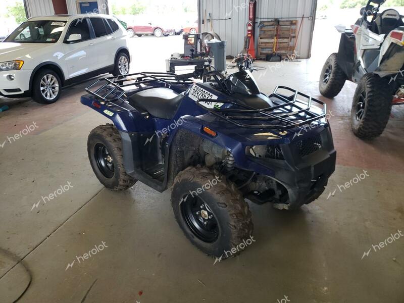 ARCTIC CAT ARTIC CAT 2021 blue   RFB21ATV7MK6P1245 photo #1