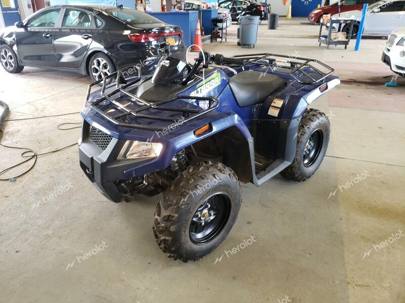 ARCTIC CAT ARTIC CAT 2021 blue   RFB21ATV7MK6P1245 photo #3