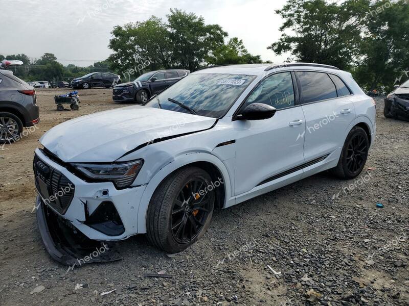 AUDI E-TRON CHR 2022 white  electric WA1VABGE1NB015127 photo #1