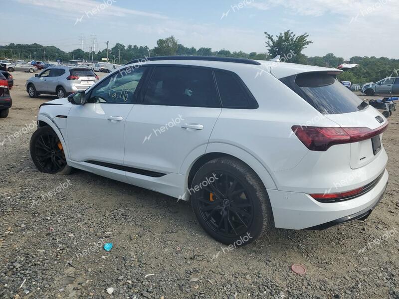 AUDI E-TRON CHR 2022 white  electric WA1VABGE1NB015127 photo #3